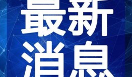 东莞陈先生最新爆料视频,揭秘事件背后惊人真相