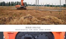 吃瓜事件网红打桩机,吃瓜事件背后的网络狂欢与争议