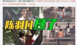 爆料综艺沈心宁视频全集,揭秘明星幕后生活点滴